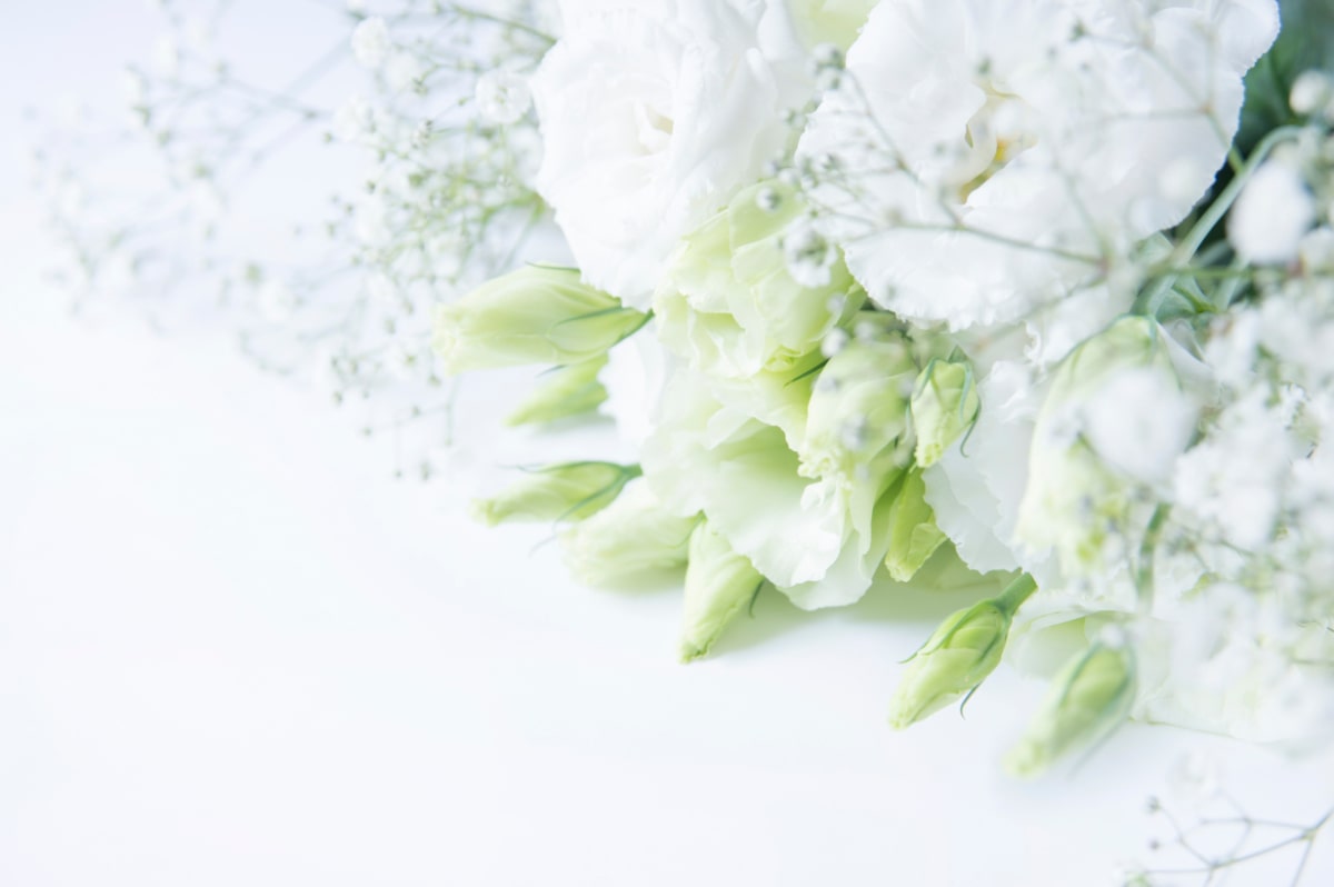 白い花とパールネックレス