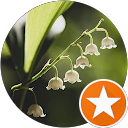 joy-broad-summer joy-broad-summer